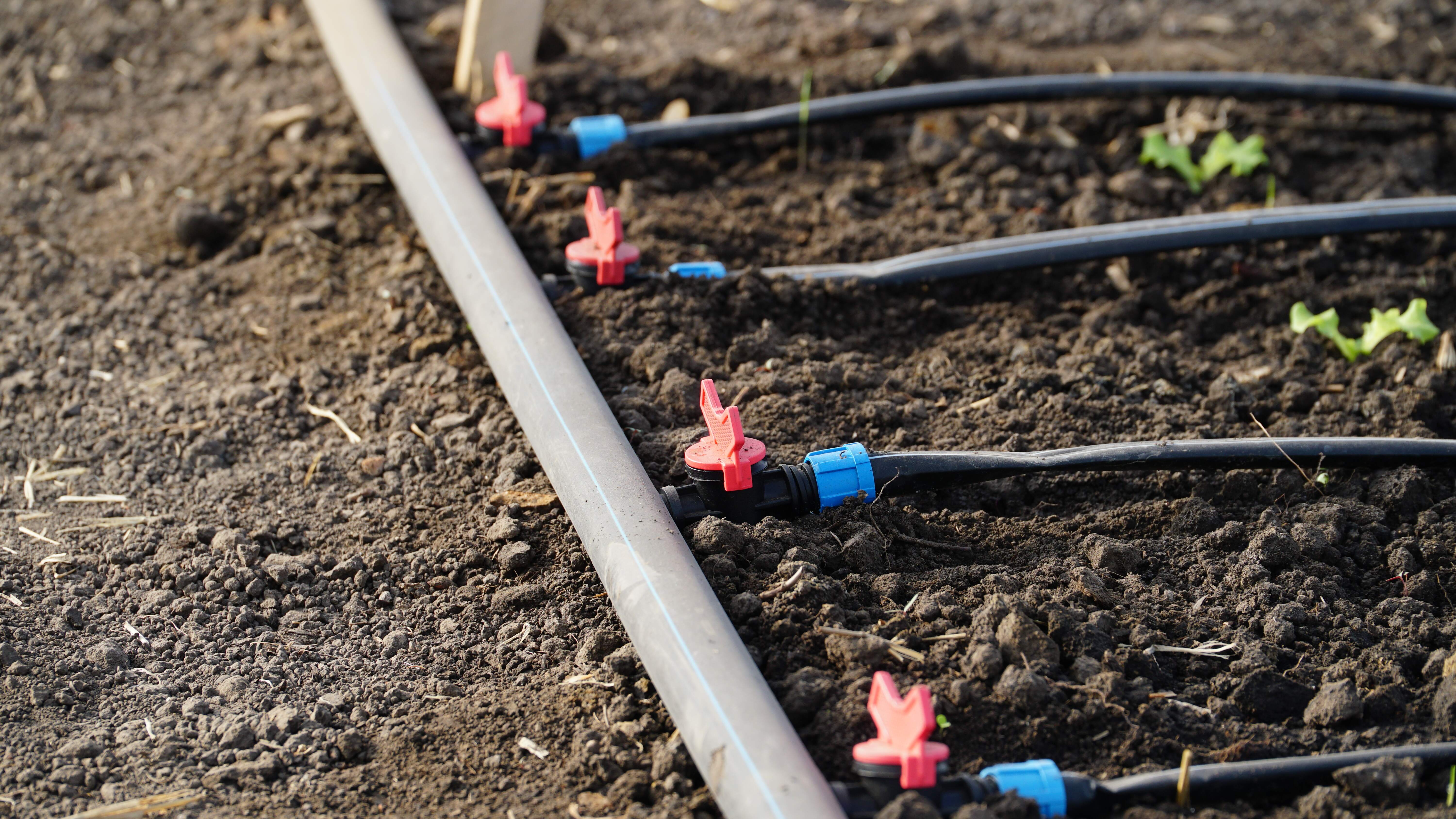 Drip Irrigation Systems